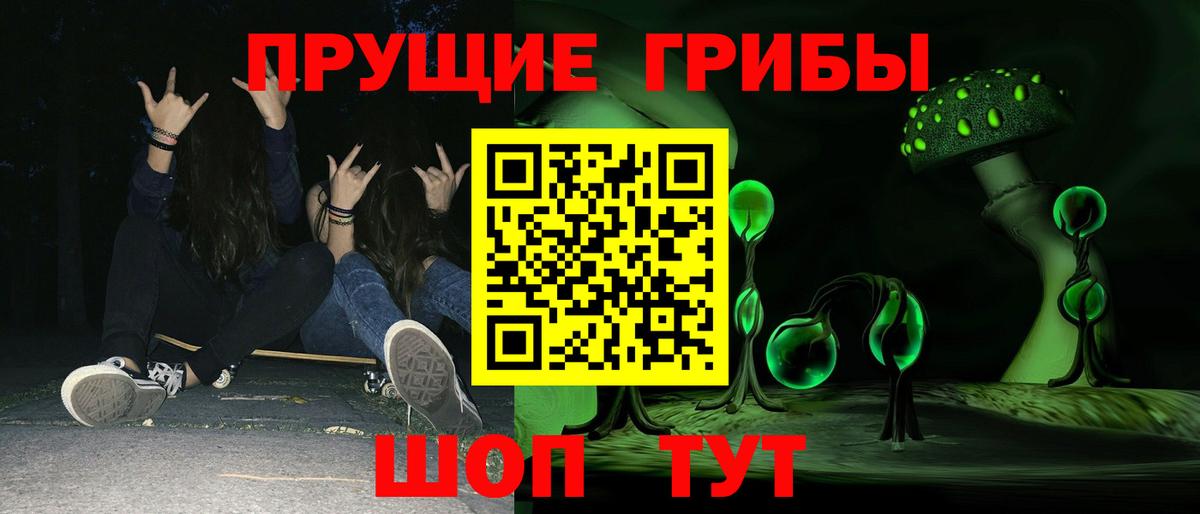 купить  сайты  Вход с VPN  Ачинск  Псилоцибиновые грибы прущие грибы 