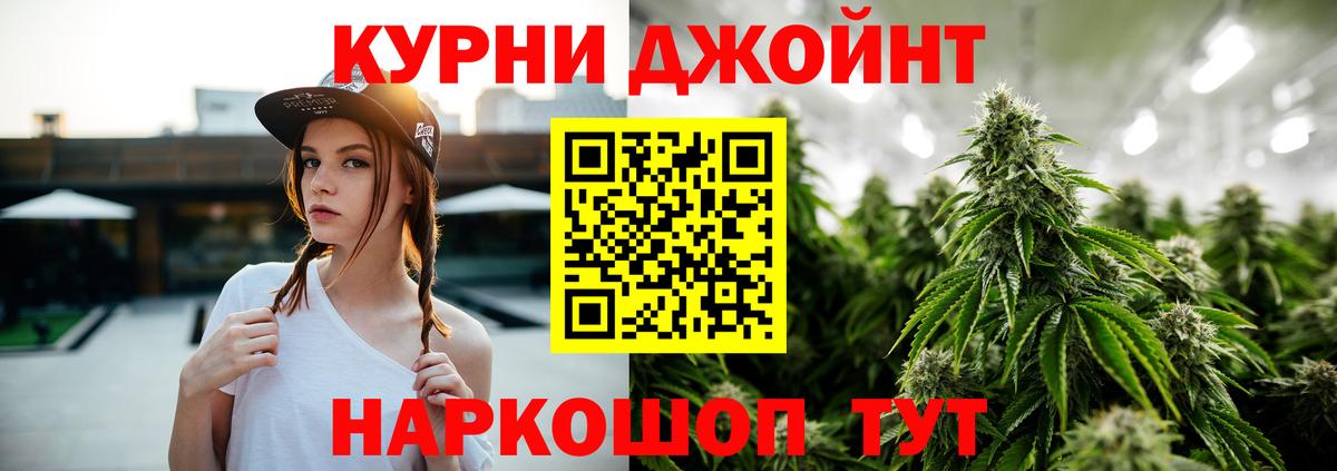 МАРИХУАНА сатива Ачинск